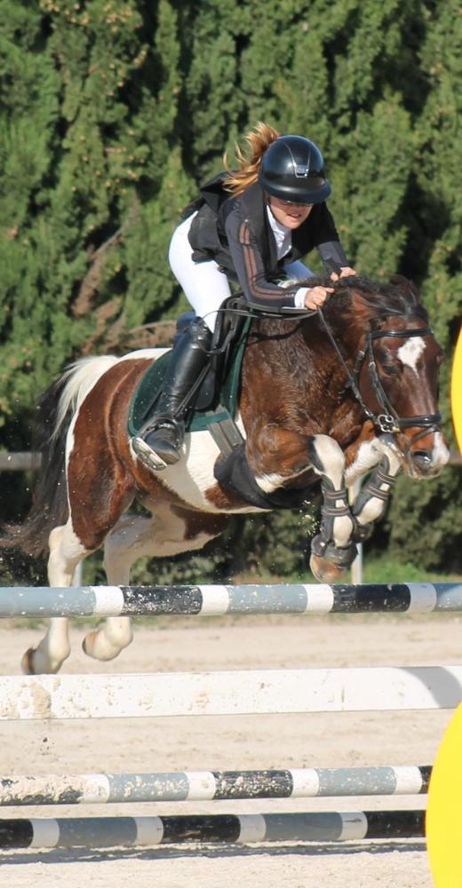 saut d'obstacle