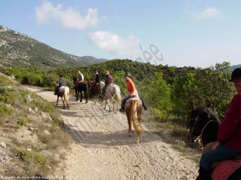 balade à cheval (2)