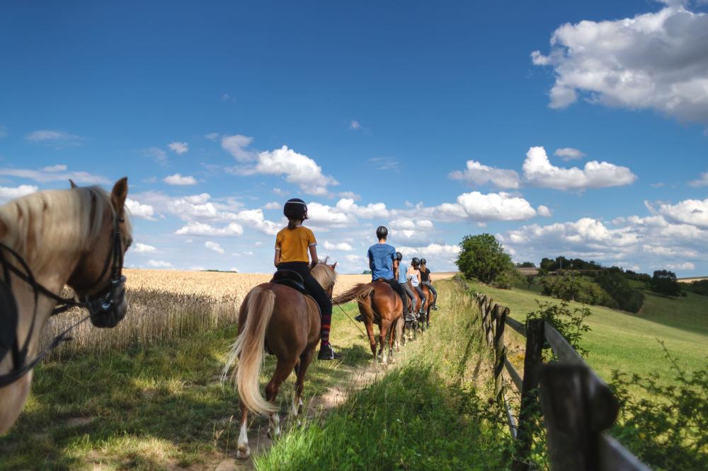 balade à cheval à Poussan