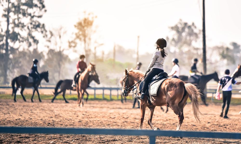 cours d'équitation à Poussan