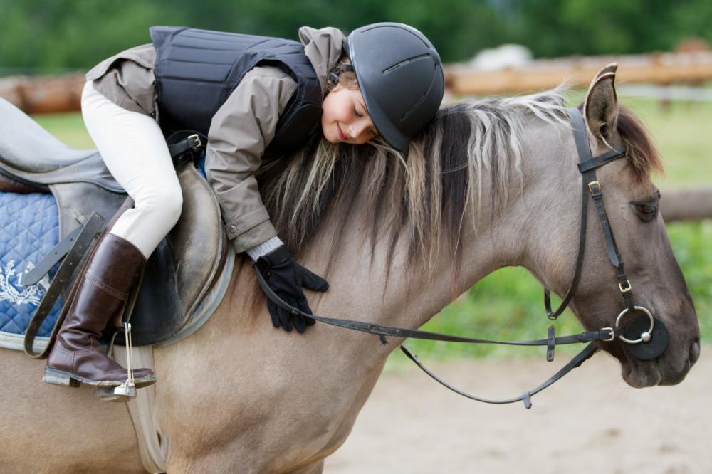 cours d'équitation