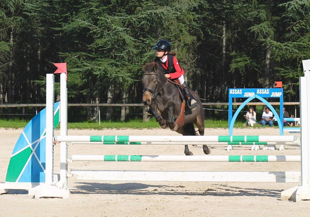Sortie concours (31)