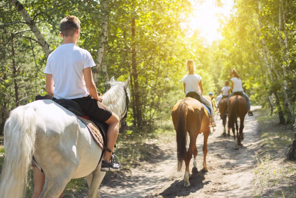 balade à cheval