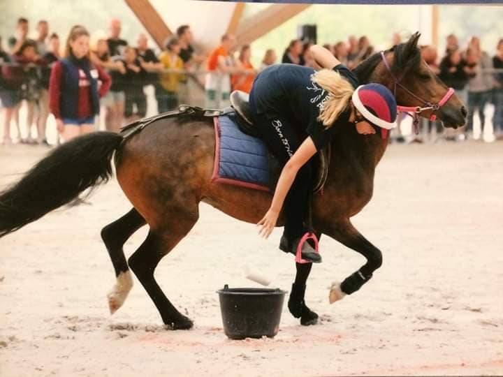 concours d'équitation à Poussan
